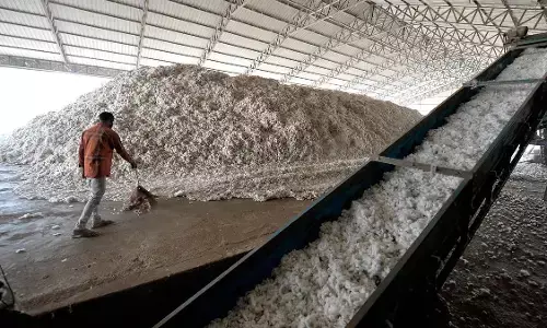 ಗುಜರಾತ್ | ಅಕಾಲಿಕ ಮಳೆಯಿಂದ ಹತ್ತಿ ಬೆಲೆ ಕುಸಿತ, ರೇವಾನಿಯಲ್ಲಿ ರೈತ ಆತ್ಮಹತ್ಯೆ