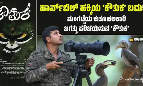ಹಾರ್ನ್‌ಬಿಲ್ ಹಕ್ಕಿಯ ‘ಕೌತುಕ’ ಬದುಕು!
