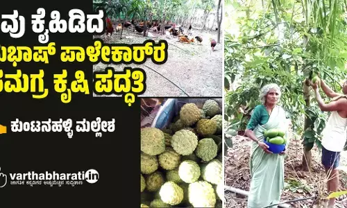 ಶಿವು ಕೈಹಿಡಿದ ಸುಭಾಷ್ ಪಾಳೇಕಾರ್‌ರ ಸಮಗ್ರ ಕೃಷಿ ಪದ್ಧತಿ