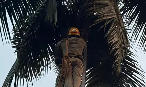 ಕಟೀಲು | ಮರವೇರಿದ ವ್ಯಕ್ತಿ ಹೃದಯಾಘಾತದಿಂದ ಮೃತ್ಯು