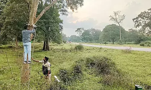 ಮಾನವ-ವನ್ಯಜೀವಿ ಸಂಘರ್ಷ ನಿಯಂತ್ರಣಕ್ಕೆ ಕಮಾಂಡ್ ಆ್ಯಂಡ್ ಕಂ‌ಟ್ರೋಲ್ ಸೆಂಟರ್ ಸ್ಥಾಪನೆ