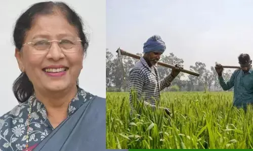 Maharashtra | 3 ತಿಂಗಳಲ್ಲಿ 766ಕ್ಕೂ ಅಧಿಕ ರೈತರು ಆತ್ಮಹತ್ಯೆ: ಎನ್‌ಸಿಪಿ-ಎಸ್‌ಸಿಪಿ ಸಂಸದೆ ಫೌಝಿಯಾ ಖಾನ್