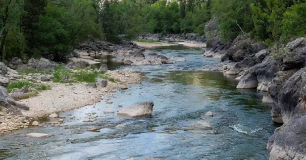 ಮೇಕೆದಾಟು ಯೋಜನೆ ತ್ವರಿತ ಅನುಷ್ಠಾನಕ್ಕೆ ತಂಡ ರಚನೆ ಮೇಕೆದಾಟು ಯೋಜನೆ ತ್ವರಿತ ಅನುಷ್ಠಾನಕ್ಕೆ ತಂಡ ರಚನೆ