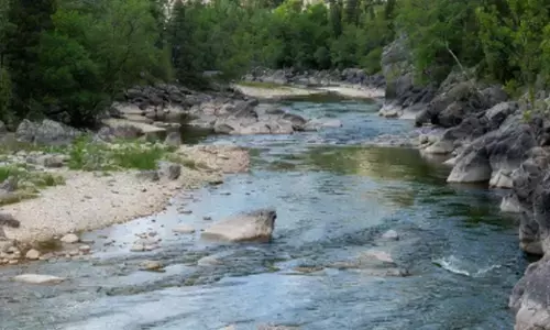 ಮೇಕೆದಾಟು ಯೋಜನೆ ತ್ವರಿತ ಅನುಷ್ಠಾನಕ್ಕೆ ತಂಡ ರಚನೆ