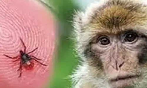 ಶಿವಮೊಗ್ಗ: ಬಿಳ್ಳೋಡಿ ಗ್ರಾಮದಲ್ಲಿ ಐವರಿಗೆ ಕೆಎಫ್‌ಡಿ ಪಾಸಿಟಿವ್