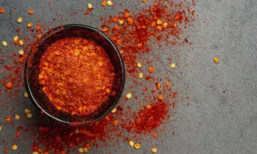 Patanjali foods ಮೆಣಸಿನ ಹುಡಿಯ ಸ್ಯಾಂಪಲ್ ಡೇಂಜರ್: ಕೇಂದ್ರ ಸರಕಾರ