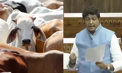 ಗೋವಿಗೆ ‘ರಾಷ್ಟ್ರಮಾತೆ’ ಸ್ಥಾನಮಾನ, ಸಂಪೂರ್ಣ ಗೋಹತ್ಯೆ ನಿಷೇಧಕ್ಕೆ ಸಂಸತ್ತಿನಲ್ಲಿ ಕಾಂಗ್ರೆಸ್ ಸಂಸದ ಉಜ್ವಲ್ ರಮಣ್ ಸಿಂಗ್ ಆಗ್ರಹ