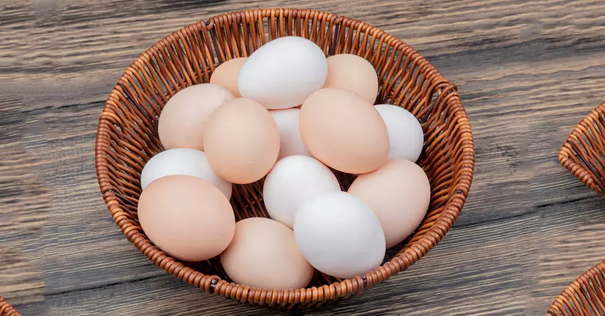 ವಾರಕ್ಕೆ ಒಂದಕ್ಕಿಂತ ಹೆಚ್ಚು ಮೊಟ್ಟೆ ತಿನ್ನುವವರಿಗೆ Alzheimer ರೋಗದ ಅಪಾಯ ಶೇ. 47ರಷ್ಟು ಕಡಿಮೆ ವಾರಕ್ಕೆ ಒಂದಕ್ಕಿಂತ ಹೆಚ್ಚು ಮೊಟ್ಟೆ ತಿನ್ನುವವರಿಗೆ Alzheimer ರೋಗದ ಅಪಾಯ ಶೇ. 47ರಷ್ಟು ಕಡಿಮೆ