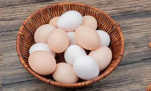 ವಾರಕ್ಕೆ ಒಂದಕ್ಕಿಂತ ಹೆಚ್ಚು ಮೊಟ್ಟೆ ತಿನ್ನುವವರಿಗೆ Alzheimer ರೋಗದ ಅಪಾಯ ಶೇ. 47ರಷ್ಟು ಕಡಿಮೆ