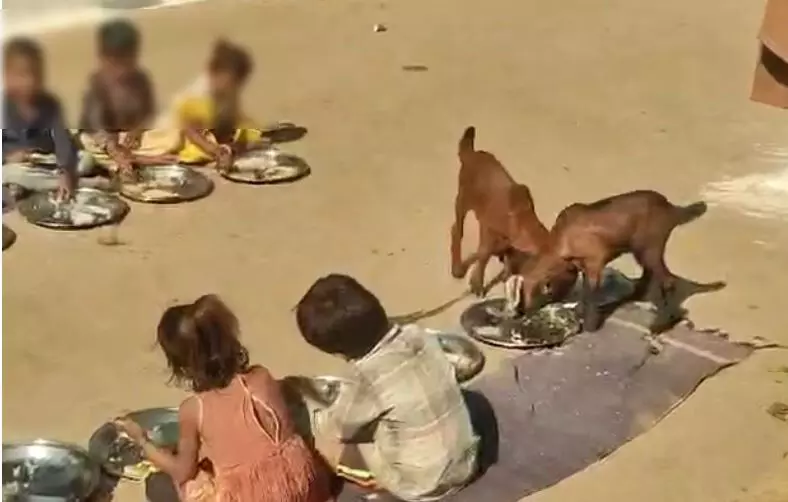 MADHYA PRADESH | ಅಂಗನವಾಡಿ ಮಕ್ಕಳ ಜೊತೆ ಮೇಕೆಗಳಿಗೂ ಬಿಸಿಯೂಟ; ವಿಡಿಯೊ ವೈರಲ್ MADHYA PRADESH | ಅಂಗನವಾಡಿ ಮಕ್ಕಳ ಜೊತೆ ಮೇಕೆಗಳಿಗೂ ಬಿಸಿಯೂಟ; ವಿಡಿಯೊ ವೈರಲ್