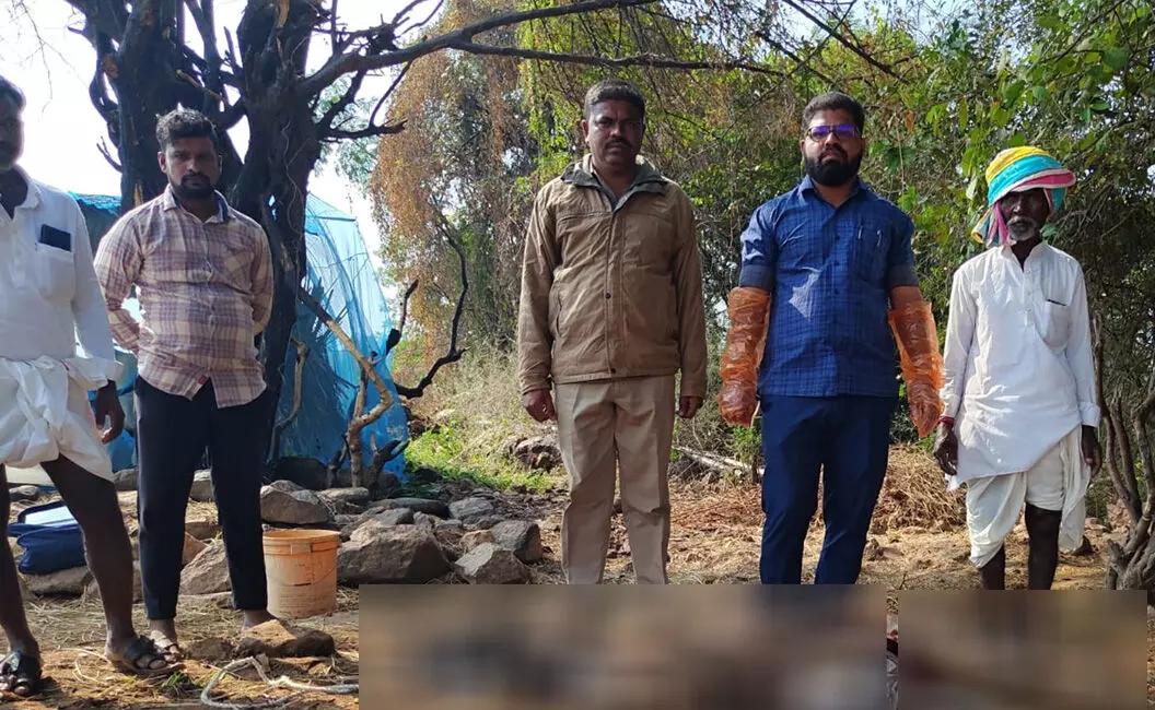 ದೇವದುರ್ಗ| ದನದ ಕರುವನ್ನು ತಿಂದು ಹಾಕಿದ ಚಿರತೆ; ಗ್ರಾಮಸ್ಥರಲ್ಲಿ ಆತಂಕ ದೇವದುರ್ಗ| ದನದ ಕರುವನ್ನು ತಿಂದು ಹಾಕಿದ ಚಿರತೆ; ಗ್ರಾಮಸ್ಥರಲ್ಲಿ ಆತಂಕ