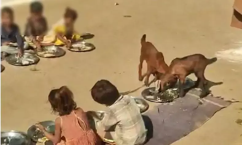 MADHYA PRADESH | ಅಂಗನವಾಡಿ ಮಕ್ಕಳ ಜೊತೆ ಮೇಕೆಗಳಿಗೂ ಬಿಸಿಯೂಟ; ವಿಡಿಯೊ ವೈರಲ್