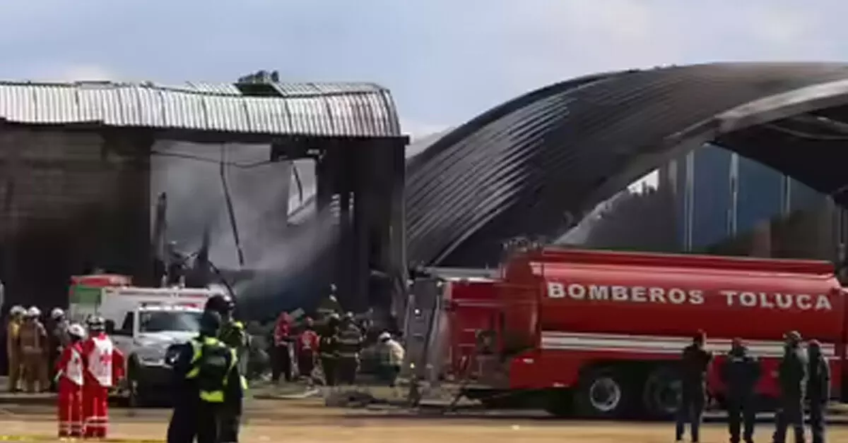 ಮೆಕ್ಸಿಕೋ | ತುರ್ತು ಲ್ಯಾಂಡಿಂಗ್ ವೇಳೆ ಮೇಲ್ಚಾವಣಿಗೆ ಅಪ್ಪಳಿಸಿದ ವಿಮಾನ : 7 ಮಂದಿ ಮೃತ್ಯು ಮೆಕ್ಸಿಕೋ | ತುರ್ತು ಲ್ಯಾಂಡಿಂಗ್ ವೇಳೆ ಮೇಲ್ಚಾವಣಿಗೆ ಅಪ್ಪಳಿಸಿದ ವಿಮಾನ : 7 ಮಂದಿ ಮೃತ್ಯು