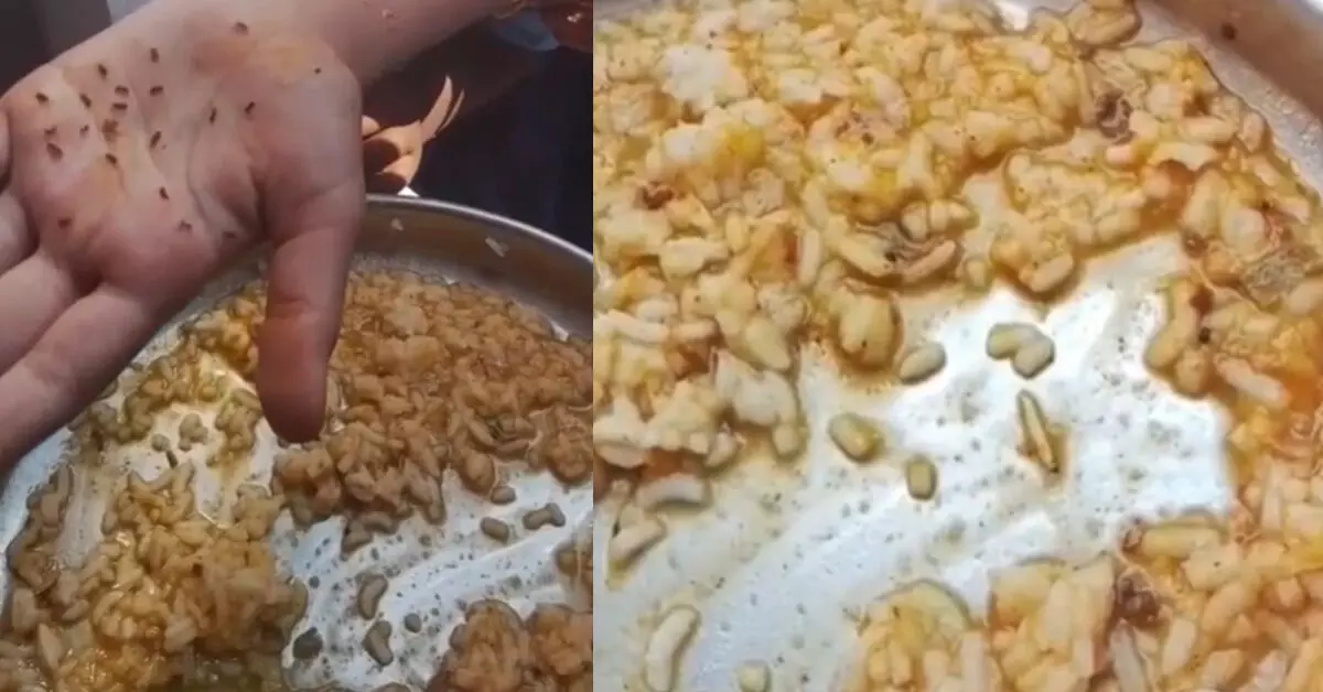 ಕೊಪ್ಪಳ | ನಿಂಗಾಪುರ ಸರಕಾರಿ ಶಾಲೆಯ ಬಿಸಿಯೂಟದಲ್ಲಿ ಹುಳ ಪತ್ತೆ ಕೊಪ್ಪಳ | ನಿಂಗಾಪುರ ಸರಕಾರಿ ಶಾಲೆಯ ಬಿಸಿಯೂಟದಲ್ಲಿ ಹುಳ ಪತ್ತೆ