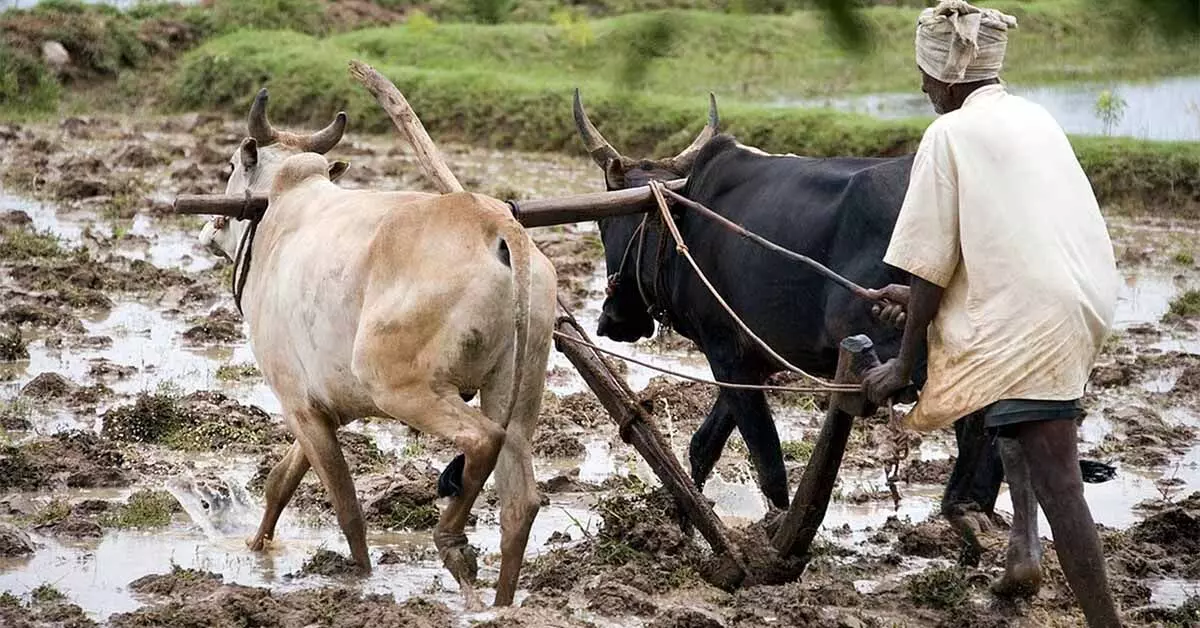 ಕಾಯಕವೇ ಕೈಲಾಸವೆಂದು ಸಾರಿದ ಶಿವಶರಣರು ಕಾಯಕವೇ ಕೈಲಾಸವೆಂದು ಸಾರಿದ ಶಿವಶರಣರು