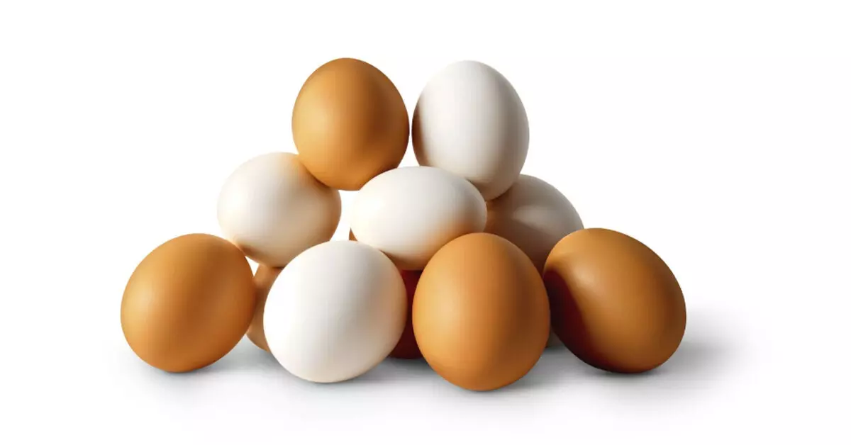 ಪ್ರತಿಜೀವಾಣು ಅಂಶಗಳಿರುವ ಮೊಟ್ಟೆಗಳು ಕ್ಯಾನ್ಸರ್ ತರಬಲ್ಲವೆ?; ಸತ್ಯಾಂಶವೇನು? ಪ್ರತಿಜೀವಾಣು ಅಂಶಗಳಿರುವ ಮೊಟ್ಟೆಗಳು ಕ್ಯಾನ್ಸರ್ ತರಬಲ್ಲವೆ?; ಸತ್ಯಾಂಶವೇನು?