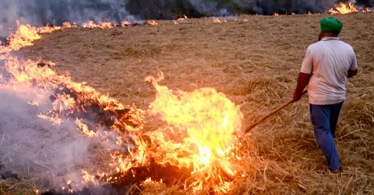 ಹದಗೆಟ್ಟ ವಾಯುಮಾಲಿನ್ಯ; ಕೂಳೆ ಸುಡುವ ಅವಧಿಯಲ್ಲಿ ಬದಲಾವಣೆ ಮಾಡಿದ ರೈತರು ಕಾರಣ: NASA ಹದಗೆಟ್ಟ ವಾಯುಮಾಲಿನ್ಯ; ಕೂಳೆ ಸುಡುವ ಅವಧಿಯಲ್ಲಿ ಬದಲಾವಣೆ ಮಾಡಿದ ರೈತರು ಕಾರಣ: NASA