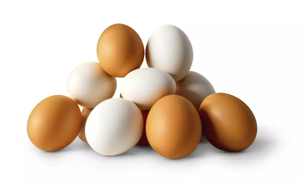 ಪ್ರತಿಜೀವಾಣು ಅಂಶಗಳಿರುವ ಮೊಟ್ಟೆಗಳು ಕ್ಯಾನ್ಸರ್ ತರಬಲ್ಲವೆ?; ಸತ್ಯಾಂಶವೇನು?