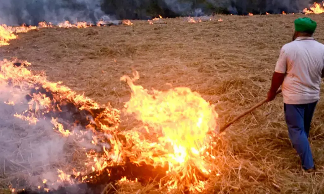 ಹದಗೆಟ್ಟ ವಾಯುಮಾಲಿನ್ಯ; ಕೂಳೆ ಸುಡುವ ಅವಧಿಯಲ್ಲಿ ಬದಲಾವಣೆ ಮಾಡಿದ ರೈತರು ಕಾರಣ: NASA