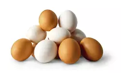 ಪ್ರತಿಜೀವಾಣು ಅಂಶಗಳಿರುವ ಮೊಟ್ಟೆಗಳು ಕ್ಯಾನ್ಸರ್ ತರಬಲ್ಲವೆ?; ಸತ್ಯಾಂಶವೇನು?