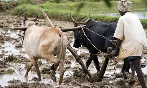 ಕಾಯಕವೇ ಕೈಲಾಸವೆಂದು ಸಾರಿದ ಶಿವಶರಣರು