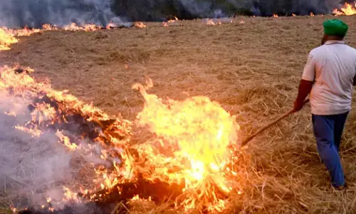 ಹದಗೆಟ್ಟ ವಾಯುಮಾಲಿನ್ಯ; ಕೂಳೆ ಸುಡುವ ಅವಧಿಯಲ್ಲಿ ಬದಲಾವಣೆ ಮಾಡಿದ ರೈತರು ಕಾರಣ: NASA