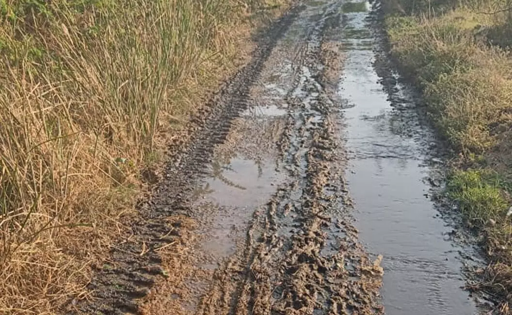 ದೇವದುರ್ಗ| ಕೋಣಚಪ್ಪಳಿ ಗ್ರಾಮದಲ್ಲಿ ರಸ್ತೆ ಮೇಲೆ ಹರಿಯುತ್ತಿರುವ ಚರಂಡಿ ನೀರು; ಕ್ರಮಕ್ಕೆ ಒತ್ತಾಯ ದೇವದುರ್ಗ| ಕೋಣಚಪ್ಪಳಿ ಗ್ರಾಮದಲ್ಲಿ ರಸ್ತೆ ಮೇಲೆ ಹರಿಯುತ್ತಿರುವ ಚರಂಡಿ ನೀರು; ಕ್ರಮಕ್ಕೆ ಒತ್ತಾಯ