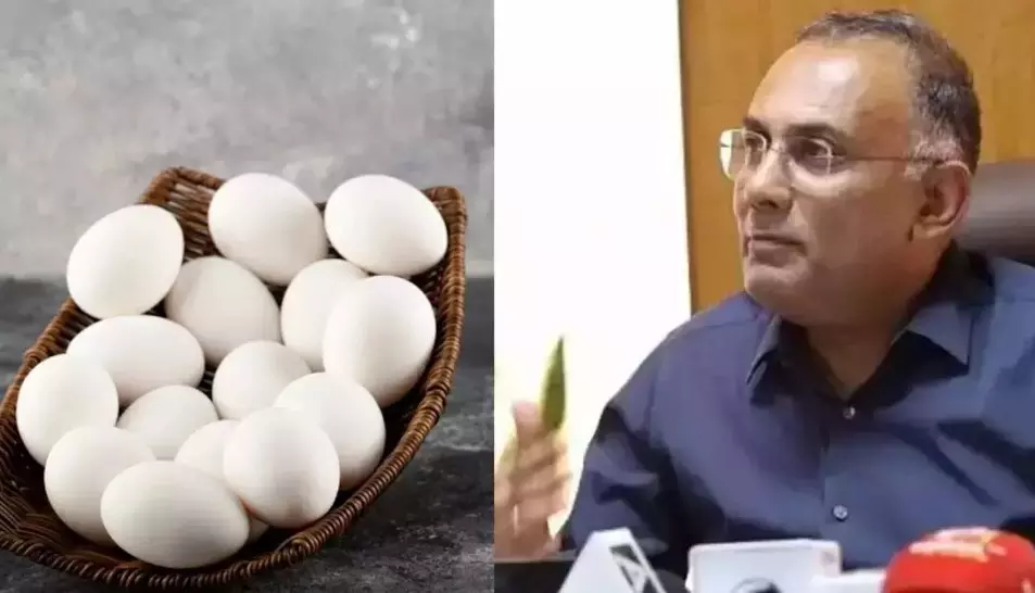 ಮೊಟ್ಟೆಯ ಬಗ್ಗೆ ಸಾರ್ವಜನಿಕರು ಆತಂಕಪಡುವ ಅಗತ್ಯವಿಲ್ಲ: ಸಚಿವ ದಿನೇಶ್ ಗುಂಡೂರಾವ್ ಮೊಟ್ಟೆಯ ಬಗ್ಗೆ ಸಾರ್ವಜನಿಕರು ಆತಂಕಪಡುವ ಅಗತ್ಯವಿಲ್ಲ: ಸಚಿವ ದಿನೇಶ್ ಗುಂಡೂರಾವ್