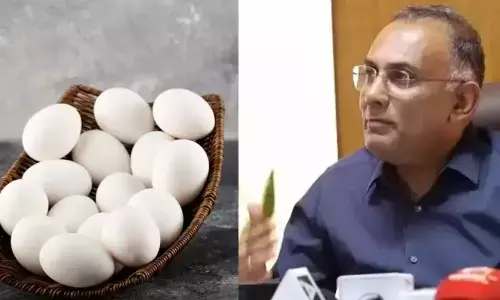 ಮೊಟ್ಟೆಯ ಬಗ್ಗೆ ಸಾರ್ವಜನಿಕರು ಆತಂಕಪಡುವ ಅಗತ್ಯವಿಲ್ಲ: ಸಚಿವ ದಿನೇಶ್ ಗುಂಡೂರಾವ್
