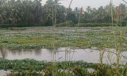 ನಂದಿನಿ ನದಿ ಕಲುಷಿತಗೊಳಿಸಿದ ಆರೋಪ: ವಿವಿಧ ಇಲಾಖೆಗಳ ವಿರುದ್ಧ ಸುರತ್ಕಲ್ ಠಾಣೆಯಲ್ಲಿ ಪ್ರಕರಣ ದಾಖಲು