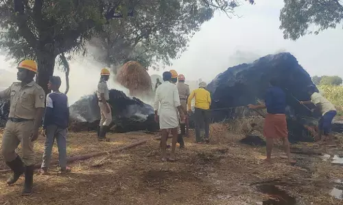 ಕನಕಗಿರಿ | ಹುಲ್ಲಿನ ಬಣವೆಗೆ ಬೆಂಕಿ : ತಪ್ಪಿದ ಅನಾಹುತ