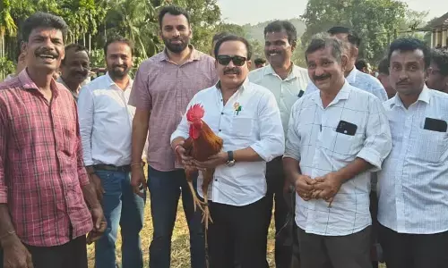 ಕೇಪು: ಪೊಲೀಸ್ ಕಾರ್ಯಾಚರಣೆ ತಡೆದು ಕೋಳಿ ಅಂಕ ನಡೆಸಿದ ಪುತ್ತೂರು ಶಾಸಕ