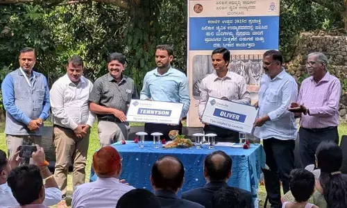 ಪಿಲಿಕುಳದಲ್ಲಿ ಸಾರ್ವಜನಿಕ ವೀಕ್ಷಣೆಗೆ ಮುಕ್ತಗೊಂಡ ಹುಲಿಮರಿಗಳು