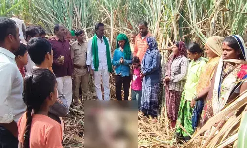 ಚಡಚಣ | ಜಾನುವಾರುಗಳ ಮೇಲೆ ದಾಳಿ; ಚಿರತೆ ಸೆರೆ ಹಿಡಿಯಲು ಗ್ರಾಮಸ್ಥರ ಒತ್ತಾಯ