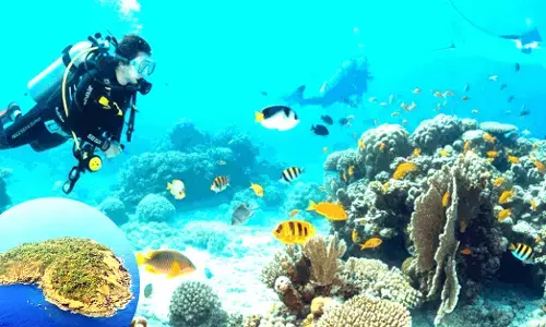 ಕರ್ನಾಟಕದ ‘ನೇತ್ರಾಣಿ’ ಈಗ ಸ್ಕೂಬಾ ಪ್ರಿಯರ ಸ್ವರ್ಗ!