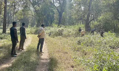 ಬೇಸಿಗೆಗೂ ಮುನ್ನ ಅಗ್ನಿ ಅವಘಡ ತಡೆಗೆ ಮುಂದಾದ ಬಂಡೀಪುರದ ಅರಣ್ಯಾಧಿಕಾರಿಗಳು