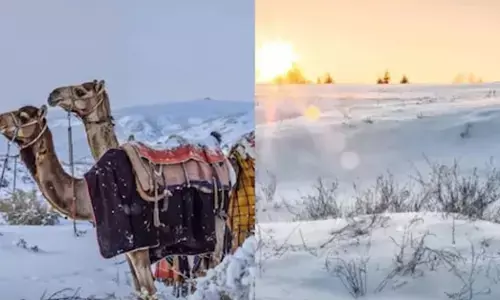 ಸೌದಿಯಲ್ಲಿ ಹಿಮಧಾರೆ | ದೇಶದ ವಿವಿಧೆಡೆ ಹಿಮಾವೃತಗೊಂಡ ಬೆಟ್ಟಪ್ರದೇಶಗಳು