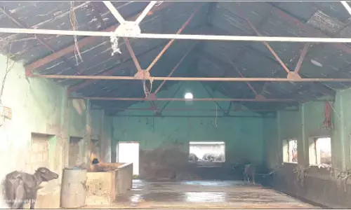 ಯರಮರಸ್ ನಲ್ಲಿ ಹೈಟೆಕ್ ಕಸಾಯಿಖಾನೆ ನಿರ್ಮಾಣಕ್ಕೆ ನಿರ್ಧಾರ