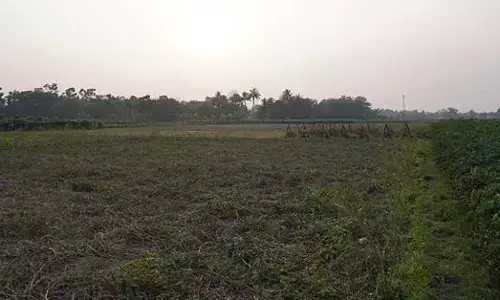 ದೇವನಹಳ್ಳಿ ಶಾಶ್ವತ ಕೃಷಿ ವಲಯ : ಸಮವರ್ತಿತ ಅಧಿಸೂಚನೆ ಹೊರಡಿಸಲು ಮುಂದಾದ ನಗರಾಭಿವೃದ್ಧಿ ಇಲಾಖೆ