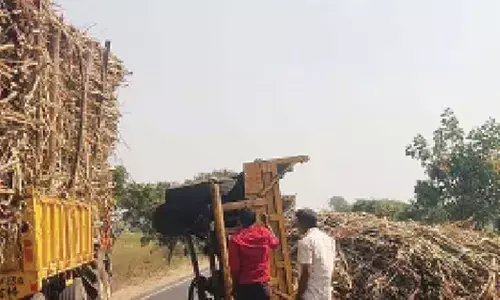 ಜೀವ ಭಯ ಹೆಚ್ಚಿಸುವ ಕಬ್ಬು ಸಾಗಣೆ!