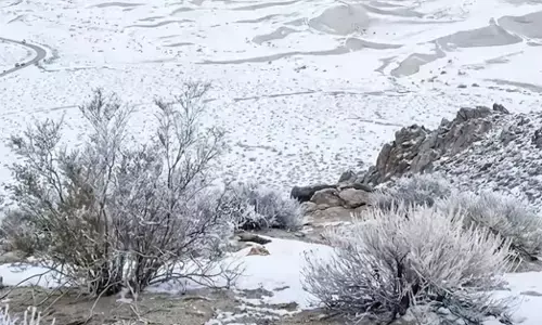 Saudi Arabia: 3 ದಶಕಗಳಲ್ಲಿ ಮೊದಲ ಹಿಮಪಾತ; ಐಸ್‍ಲ್ಯಾಂಡ್‍ ನಲ್ಲಿ ತಾಪಮಾನ ಏರಿಕೆ