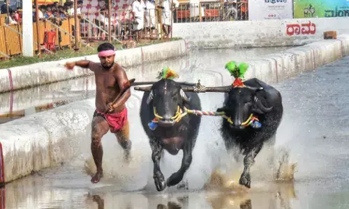 9ನೇ ವರ್ಷದ ಮಂಗಳೂರು ಕಂಬಳಕ್ಕೆ ಚಾಲನೆ