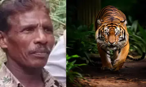 Gundlupete | ಹುಲಿ ದಾಳಿಗೆ ಫಾರೆಸ್ಟ್ ವಾಚರ್ ಮೃತ್ಯು