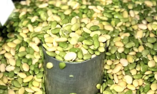 ಮಾರುಕಟ್ಟೆಯಲ್ಲಿ ಸೋನೆ ಅವರೆ ಕಾಯಿ ಘಮಲು