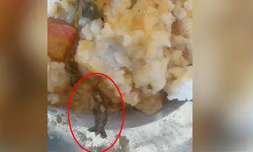 ಯಾದಗಿರಿ | ಮಧ್ಯಾಹ್ನದ ಬಿಸಿ ಊಟದಲ್ಲಿ ಹಲ್ಲಿ ಪತ್ತೆ