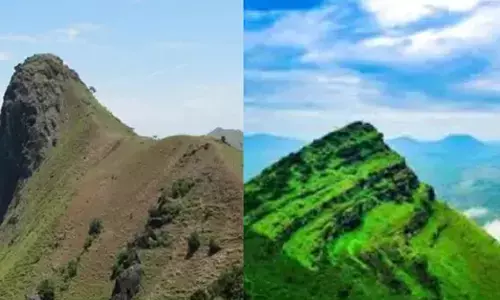 ಹೊಸ ವರ್ಷಾಚರಣೆ | ಚಿಕ್ಕಮಗಳೂರು ಜಿಲ್ಲೆಯ ಪ್ರಮುಖ ಪ್ರವಾಸಿ ತಾಣಗಳಿಗೆ ತಾತ್ಕಾಲಿಕ ನಿರ್ಬಂಧ