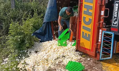 Karkala | ನಿಟ್ಟೆಯಲ್ಲಿ ಲಾರಿ, ಕಾರುಗಳ ಮಧ್ಯೆ ಸರಣಿ ಅಪಘಾತ: ಮೊಟ್ಟೆ ಲಾರಿ ಪಲ್ಟಿ, ಅಪಾರ ನಷ್ಟ