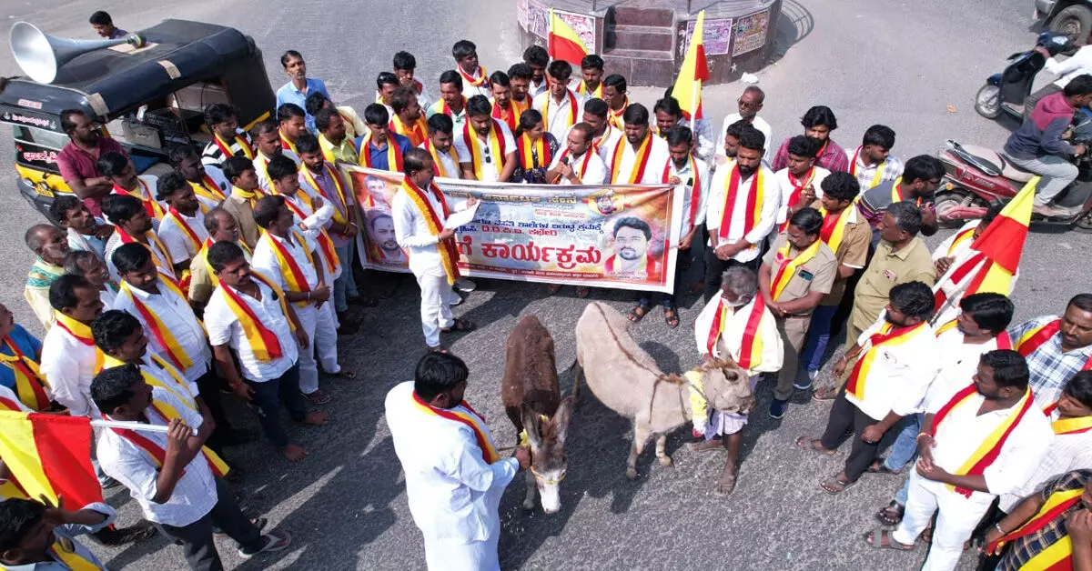 ಯಾದಗಿರಿ | ಅನಧಿಕೃತ ಶಾಲೆಗಳ ವಿರುದ್ಧ ಕ್ರಮಕ್ಕೆ ಆಗ್ರಹಿಸಿ ಕತ್ತೆಗಳ ಮೆರವಣಿಗೆ ಮಾಡಿ ಆಕ್ರೋಶ ಯಾದಗಿರಿ | ಅನಧಿಕೃತ ಶಾಲೆಗಳ ವಿರುದ್ಧ ಕ್ರಮಕ್ಕೆ ಆಗ್ರಹಿಸಿ ಕತ್ತೆಗಳ ಮೆರವಣಿಗೆ ಮಾಡಿ ಆಕ್ರೋಶ