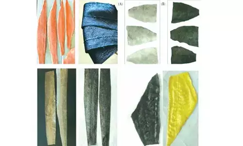 ಮೀನಿನ ಚರ್ಮದಿಂದ ಮೌಲ್ಯವರ್ಧಿತ ಉತ್ಪನ್ನ