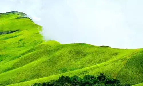 ಜ.5-12ರ ವರೆಗೆ ಹುಲಿ ಗಣತಿ;  ಕುದುರೆಮುಖ ರಾಷ್ಟ್ರೀಯ ಉದ್ಯಾನವನ ವ್ಯಾಪ್ತಿಯಲ್ಲಿ ಚಾರಣಕ್ಕೆ ನಿಷೇಧ